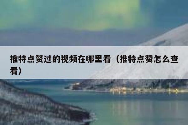 推特点赞过的视频在哪里看（推特点赞怎么查看） 第1张