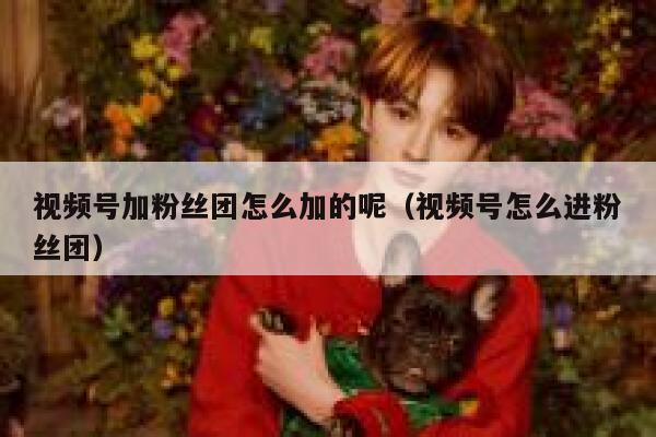 视频号加粉丝团怎么加的呢(视频号怎么进粉丝团) 第1张 视频号加粉丝团怎么加的呢(视频号怎么进粉丝团) 第1张