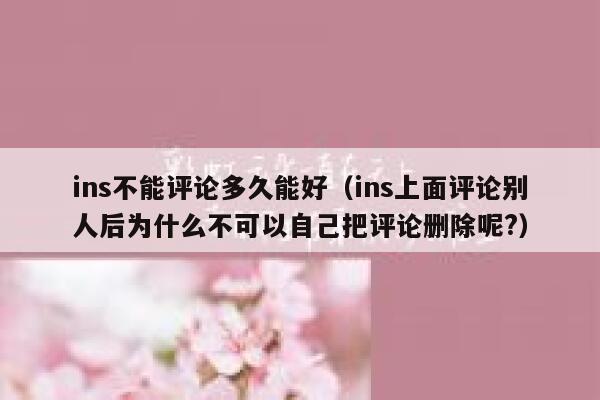 ins不能评论多久能好（ins上面评论别人后为什么不可以自己把评论删除呢?） 第1张