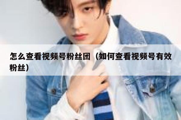 怎么查看视频号粉丝团（如何查看视频号有效粉丝） 第1张