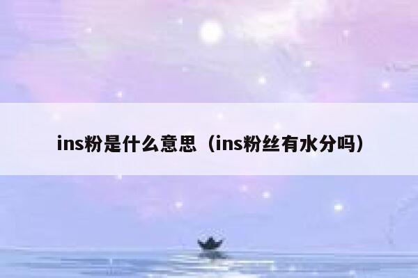ins粉是什么意思（ins粉丝有水分吗） 第1张