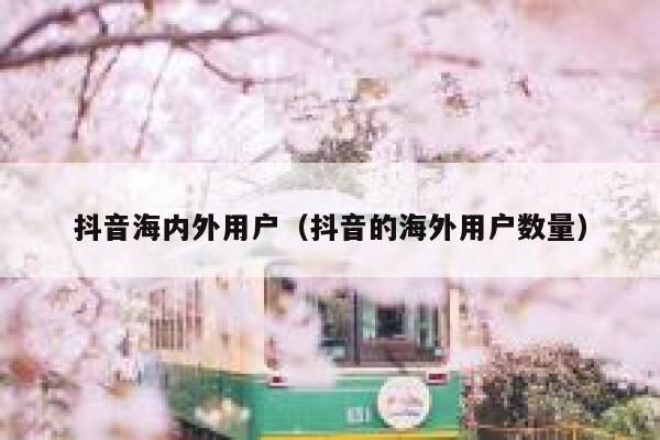 抖音海内外用户（抖音的海外用户数量） 第1张