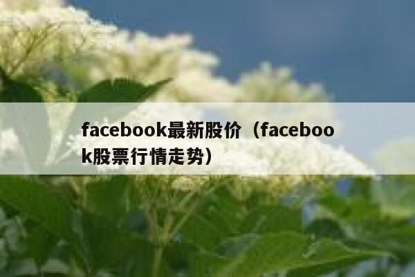 facebook最新股价（facebook股票行情走势） 第1张