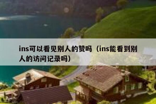 ins可以看见别人的赞吗（ins能看到别人的访问记录吗） 第1张