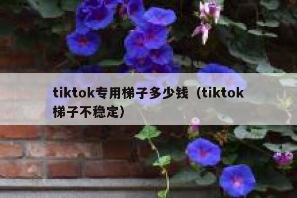 tiktok专用梯子多少钱（tiktok梯子不稳定） 第1张