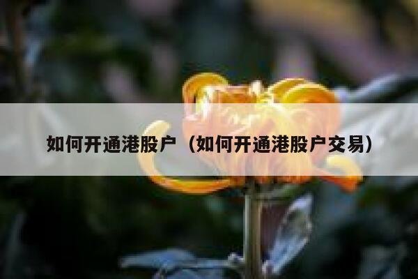 如何开通港股户（如何开通港股户交易） 第1张