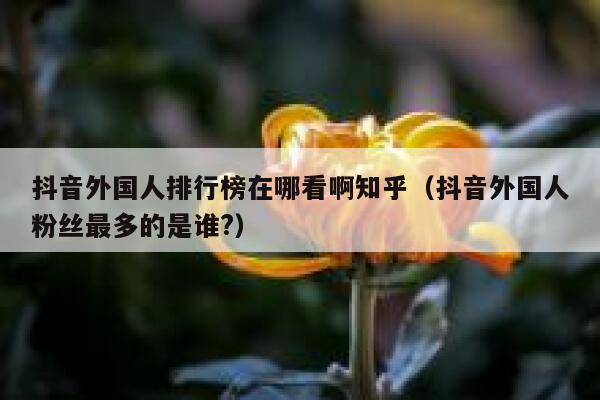 抖音外国人排行榜在哪看啊知乎（抖音外国人粉丝最多的是谁?） 第1张