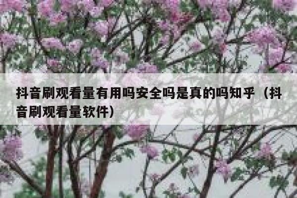 抖音刷观看量有用吗安全吗是真的吗知乎（抖音刷观看量软件） 第1张