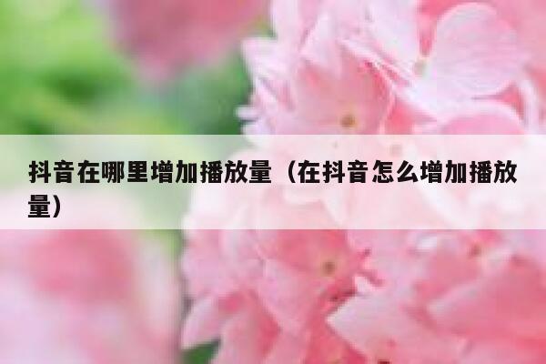 抖音在哪里增加播放量（在抖音怎么增加播放量） 第1张