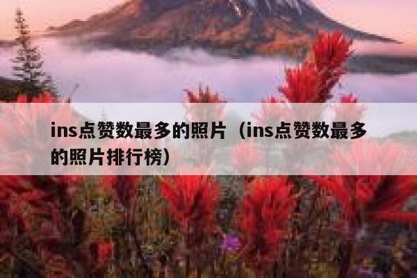 ins点赞数最多的照片（ins点赞数最多的照片排行榜） 第1张