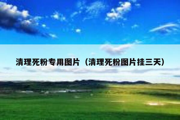 清理死粉专用图片(清理死粉图片挂三天) 第1张 清理死粉专用图片(清理死粉图片挂三天) 第1张