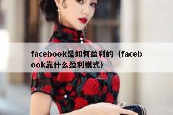 facebook是如何盈利的（facebook靠什么盈利模式） 第1张