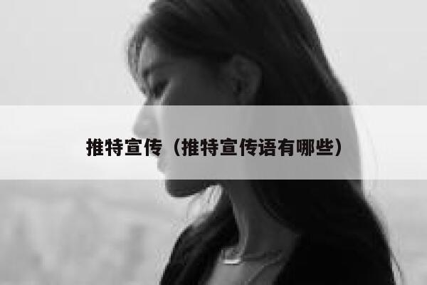 推特宣传（推特宣传语有哪些） 第1张
