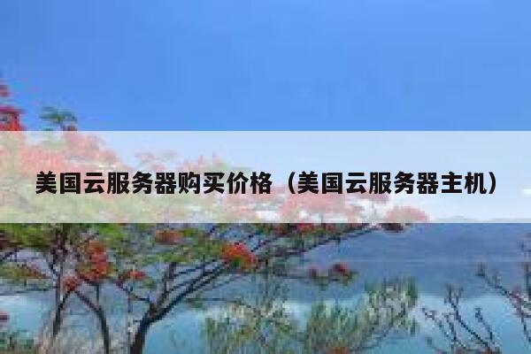 美国云服务器购买价格（美国云服务器主机） 第1张