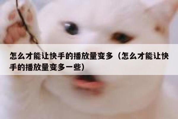 怎么才能让快手的播放量变多（怎么才能让快手的播放量变多一些） 第1张