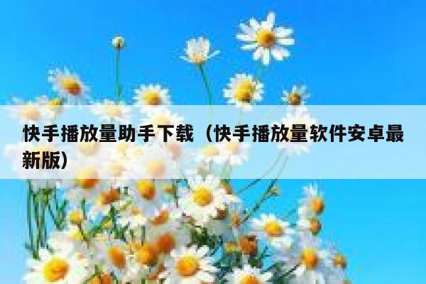 快手播放量助手下载（快手播放量软件安卓最新版） 第1张