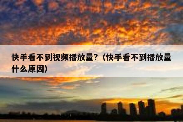快手看不到视频播放量?（快手看不到播放量什么原因） 第1张