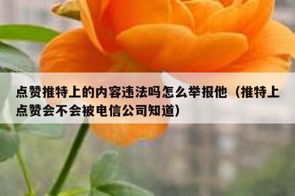 点赞推特上的内容违法吗怎么举报他（推特上点赞会不会被电信公司知道） 第1张