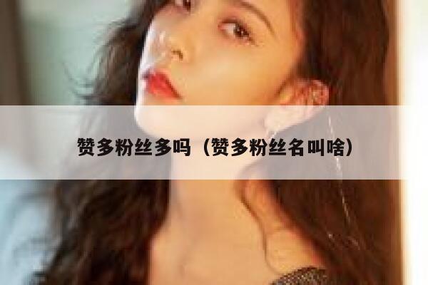 赞多粉丝多吗（赞多粉丝名叫啥） 第1张