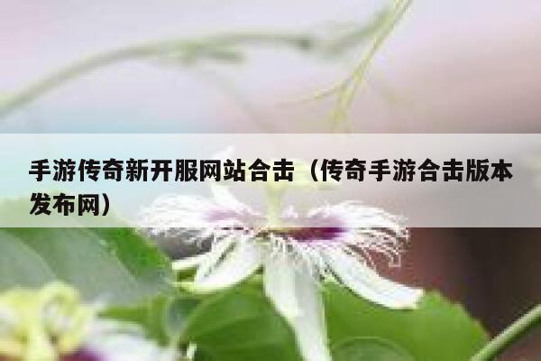 手游传奇新开服网站合击(传奇手游合击版本发布网) 第1张 手游传奇新开服网站合击(传奇手游合击版本发布网) 第1张