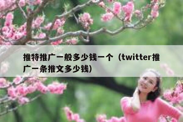 推特推广一般多少钱一个(twitter推广一条推文多少钱) 第1张 推特推广一般多少钱一个(twitter推广一条推文多少钱) 第1张