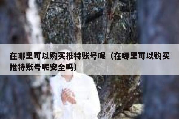 在哪里可以购买推特账号呢（在哪里可以购买推特账号呢安全吗） 第1张