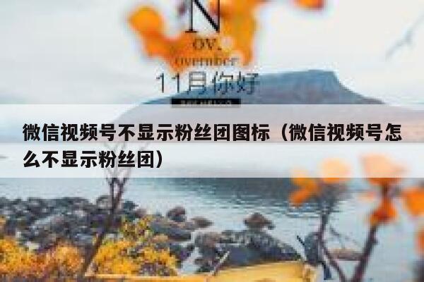 微信视频号不显示粉丝团图标（微信视频号怎么不显示粉丝团） 第1张