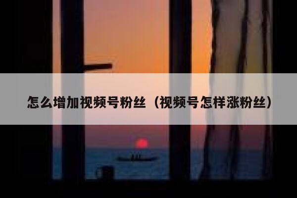 怎么增加视频号粉丝（视频号怎样涨粉丝） 第1张
