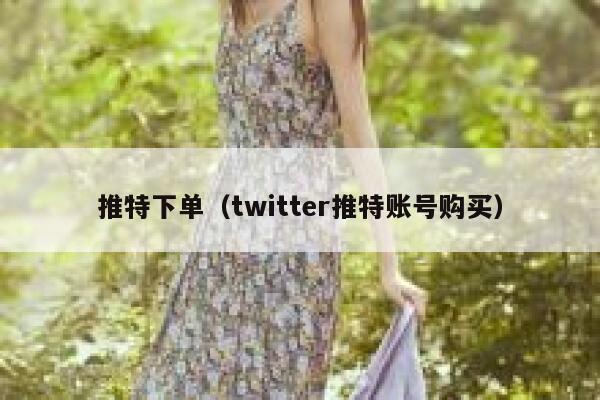 推特下单（twitter推特账号购买） 第1张