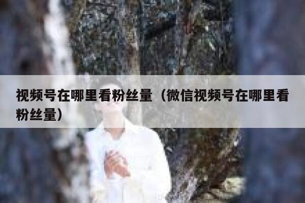 视频号在哪里看粉丝量（微信视频号在哪里看粉丝量） 第1张