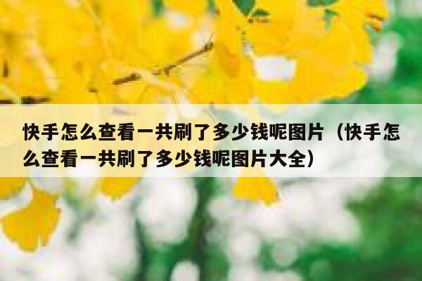 快手怎么查看一共刷了多少钱呢图片（快手怎么查看一共刷了多少钱呢图片大全） 第1张