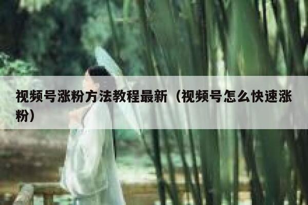 视频号涨粉方法教程最新（视频号怎么快速涨粉） 第1张