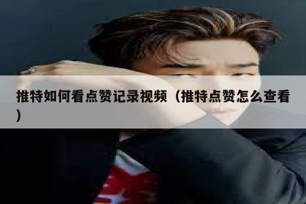推特如何看点赞记录视频（推特点赞怎么查看） 第1张
