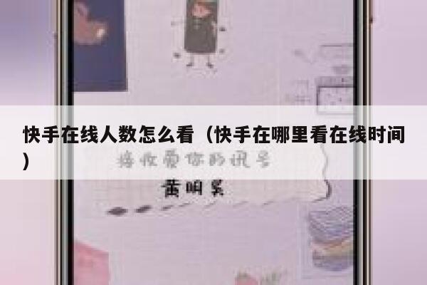 快手在线人数怎么看（快手在哪里看在线时间） 第1张