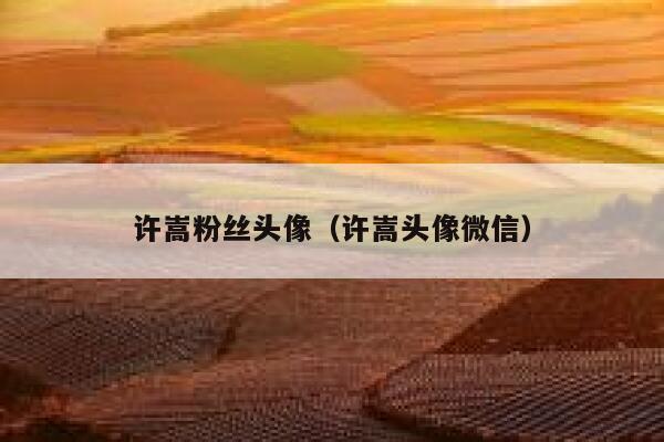 许嵩粉丝头像（许嵩头像微信） 第1张