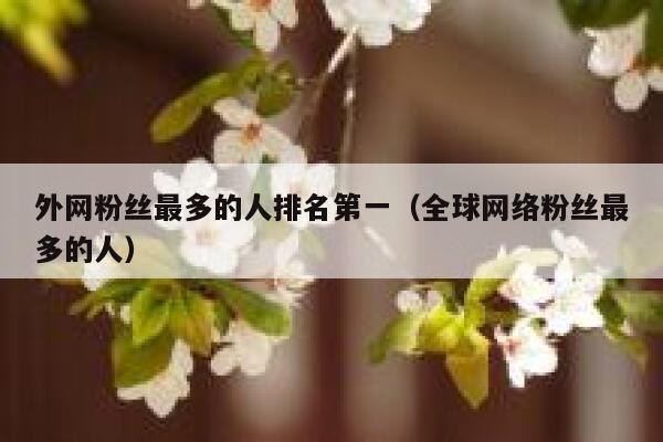 外网粉丝最多的人排名第一（全球网络粉丝最多的人） 第1张