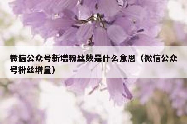 微信公众号新增粉丝数是什么意思（微信公众号粉丝增量） 第1张