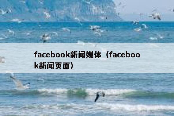 facebook新闻媒体（facebook新闻页面） 第1张