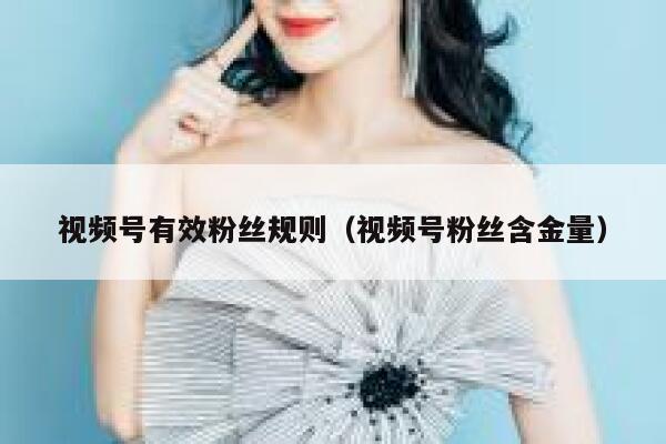 视频号有效粉丝规则(视频号粉丝含金量) 第1张 视频号有效粉丝规则(视频号粉丝含金量) 第1张