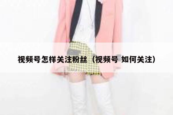 视频号怎样关注粉丝(视频号 如何关注) 第1张 视频号怎样关注粉丝(视频号 如何关注) 第1张