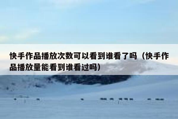 快手作品播放次数可以看到谁看了吗（快手作品播放量能看到谁看过吗） 第1张
