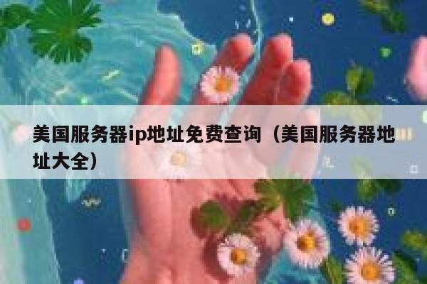 美国服务器ip地址免费查询（美国服务器地址大全） 第1张