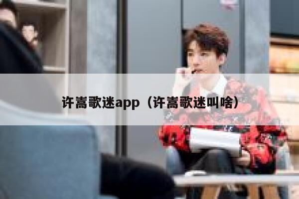 许嵩歌迷app（许嵩歌迷叫啥） 第1张