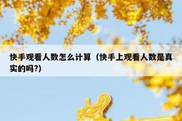 快手观看人数怎么计算（快手上观看人数是真实的吗?） 第1张