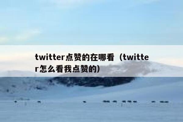 twitter点赞的在哪看（twitter怎么看我点赞的） 第1张
