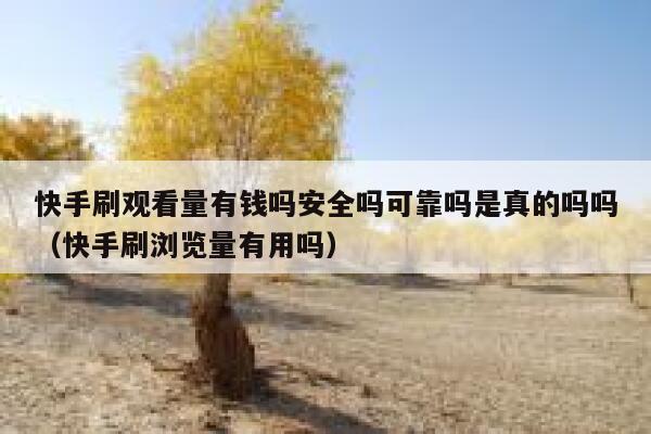 快手刷观看量有钱吗安全吗可靠吗是真的吗吗（快手刷浏览量有用吗） 第1张