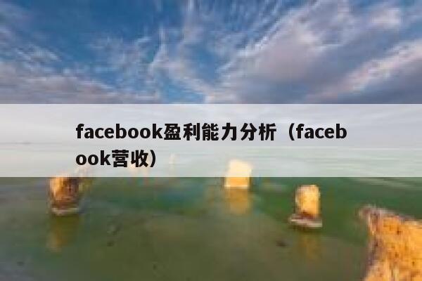facebook盈利能力分析（facebook营收） 第1张