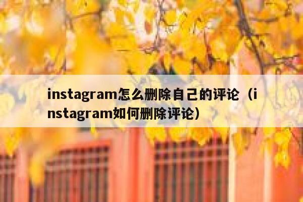 instagram怎么删除自己的评论(instagram如何删除评论) 第1张 instagram怎么删除自己的评论(instagram如何删除评论) 第1张