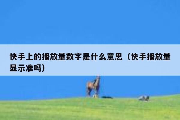 快手上的播放量数字是什么意思(快手播放量显示准吗) 第1张 快手上的播放量数字是什么意思(快手播放量显示准吗) 第1张