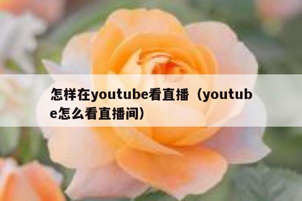 怎样在youtube看直播(youtube怎么看直播间) 第1张 怎样在youtube看直播(youtube怎么看直播间) 第1张